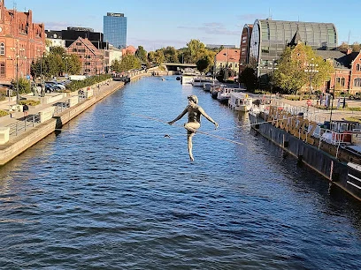 Przechodzący przez rzekę