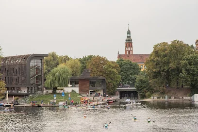 Słonecznik I